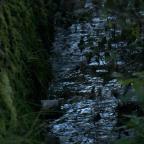 Pollution aux hydrocarbures à Tourinnes-La-Grosse