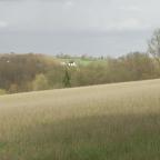 Ittre lance un appel pour l’entretien de parcelles communales