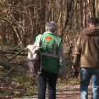 Campagne de sensibilisation pour les "bons gestes" à adopter en Forêt de Soignes