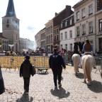 Le marché et concours de l'Ascension font leur retour à Jodoigne