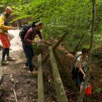 Louvain-la-Neuve : course d'orientation au Bois des Rêves