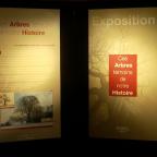 Waterloo : quand les arbres racontent l'histoire