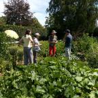 Lillois : lancement réussi pour les Potagers partagés du Callois