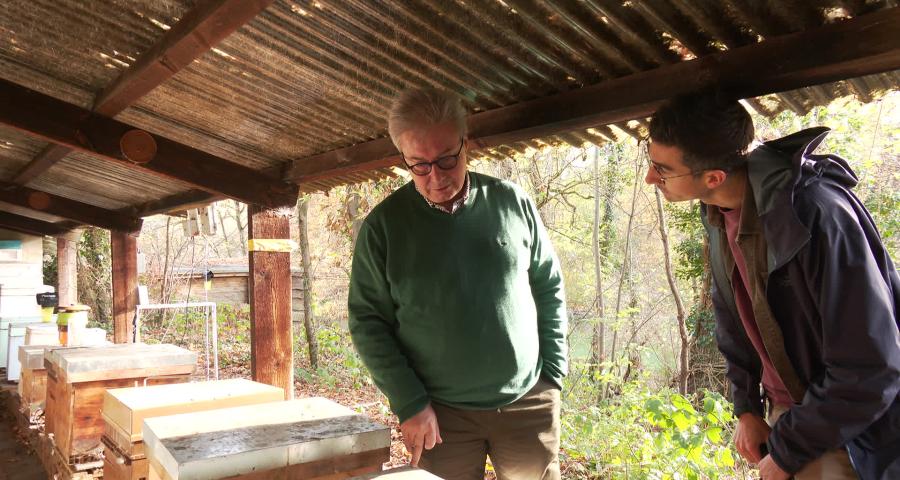 Pierre Hanotier, un apiculteur amateur au miel d'or