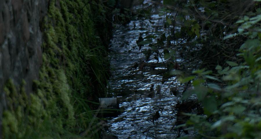 Pollution aux hydrocarbures à Tourinnes-La-Grosse