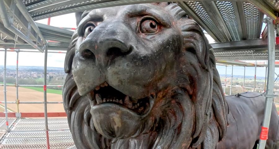 Butte du lion : l'animal nous dévoile ses entrailles