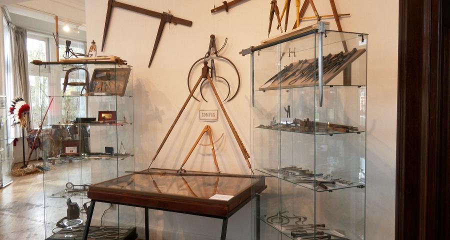 Exposition Collections Insolites, plongez dans un univers étonnant