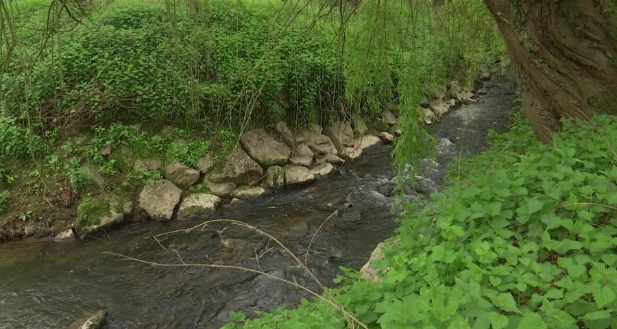 Avoir une rivière dans son jardin, c’est devenir gardien de l’eau