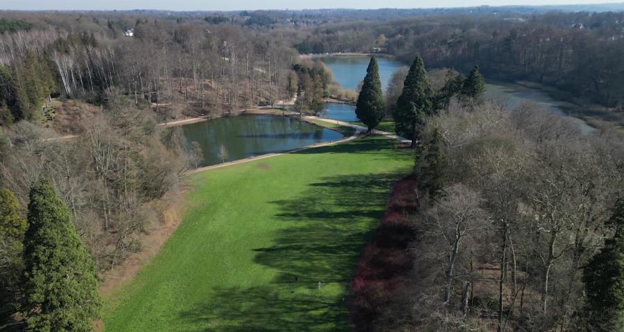 La biodiversité de la forêt de Soignes passée au crible