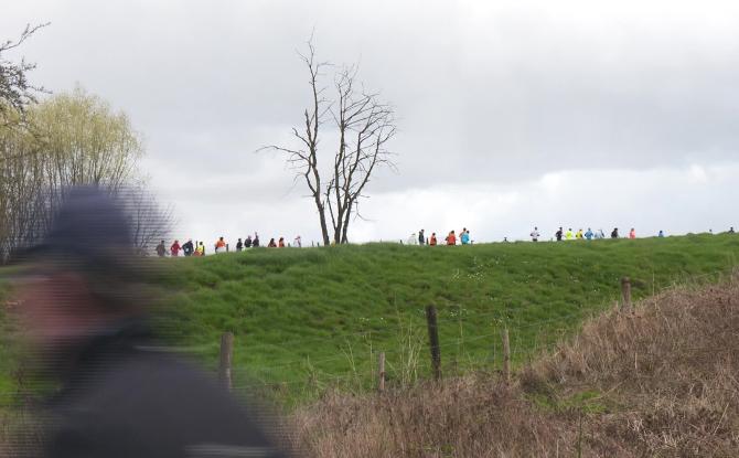 Challenge BW : le jogging de Vieusart réunit 550 coureurs