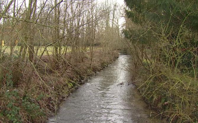 Trop de déchets verts polluent encore les cours d'eau