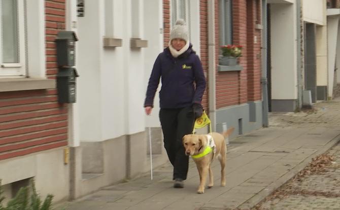 La fondation Bâtisseurs d'Étoiles soutient l'association Scale Dogs