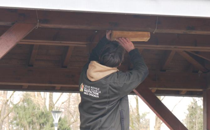 À Mont-Saint-Guibert, 45 nichoirs pour donner un avenir aux oiseaux