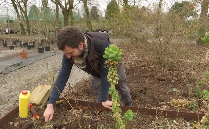 Retour des beaux jours : quelques conseils pour préparer son jardin