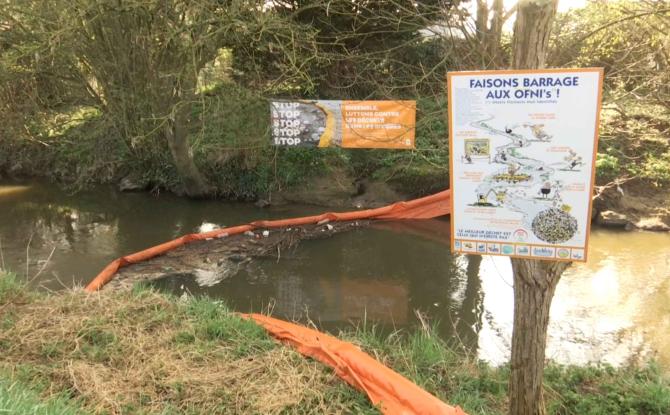 Retrait du barrage flottant sur la Dyle : plus propre d'année en année