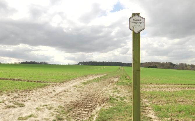 Les sentiers de Court-Saint-Étienne sont-ils en bon état ? Le Patrimoine stéphanois dresse le bilan