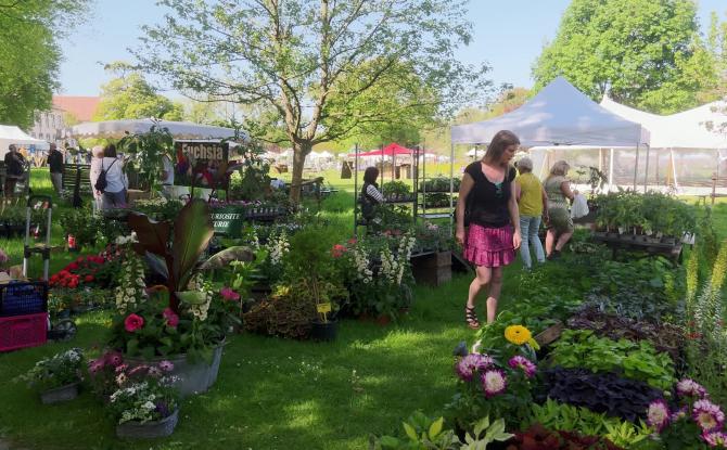 Lasne : la fête des plantes et du jardin à l'Abbaye d'Aywiers