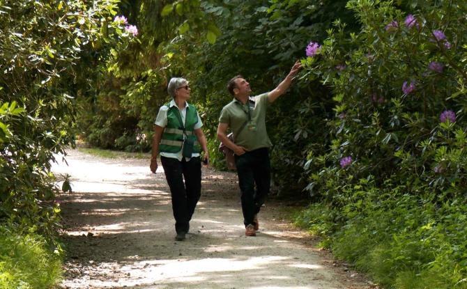 Forêt de Soignes : la vie recensée par tous