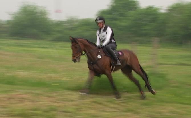 Équitation : Troisième édition du concours complet international aux Écuries du Maret