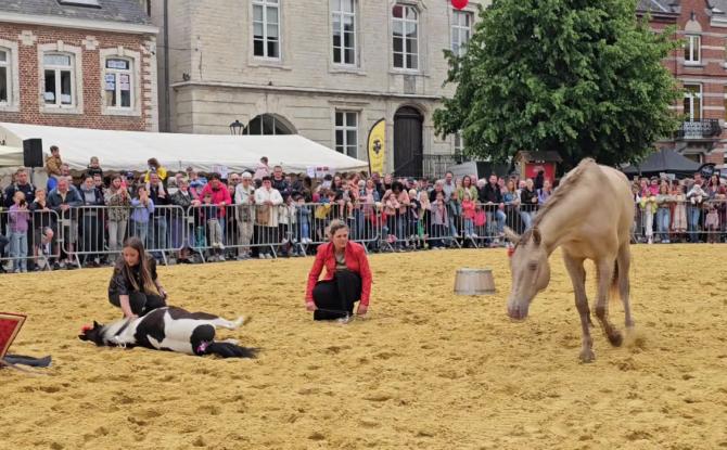 Jodoigne: succès pour le Marché de l'Ascension