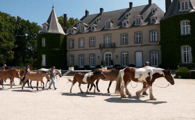 Rênes de la Vie : Une parenthèse équestre pour les patients du cancer