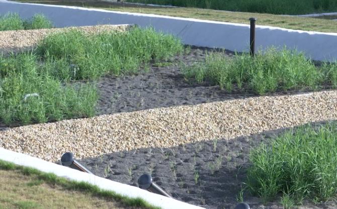Haut-Ittre : une station d'épuration végétalisée étonnante