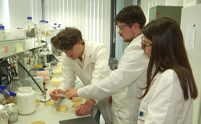 Louvain-la-Neuve : des étudiants veulent recréer les sucres du lait maternel