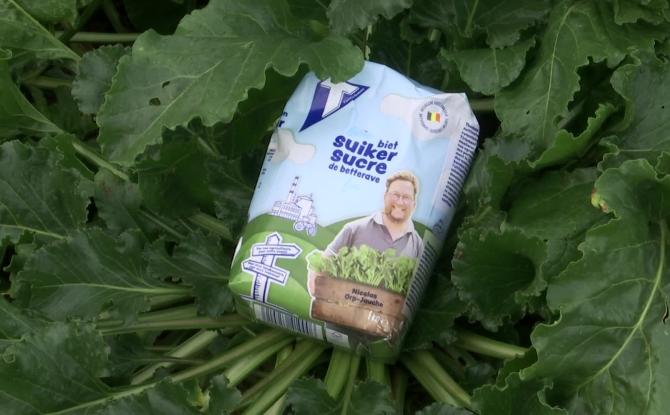 Nicolas Spirlets, betteravier de Jandrain, devient le visage du sucre belge