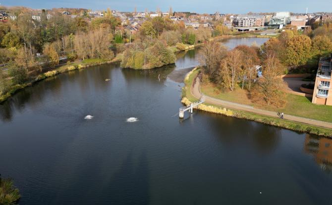 Le lac de Louvain-la-Neuve vidé pour assainir et booster sa biodiversité