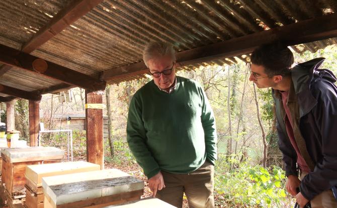 Pierre Hanotier, un apiculteur amateur au miel d'or