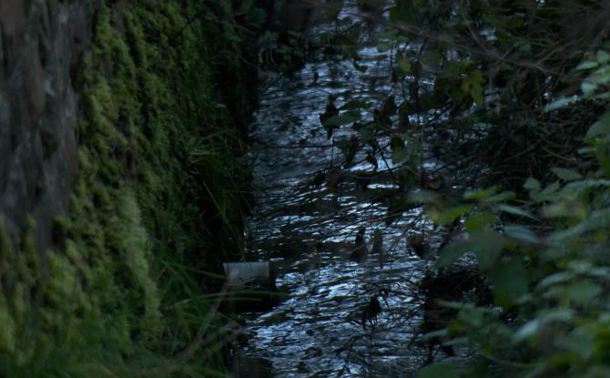 Pollution aux hydrocarbures à Tourinnes-La-Grosse