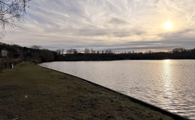 Suspicion de grippe aviaire à l’étang de Pécrot : l’accès temporairement interdit