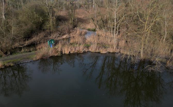 Grippe aviaire confirmée à l’étang de Pécrot : l’accès interdit durant 1 mois