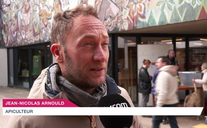 Le frelon asiatique, comment et quand lutter ?