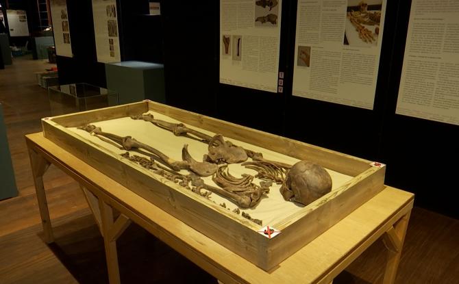 Huppaye : les secrets de trois ans de fouilles révélés