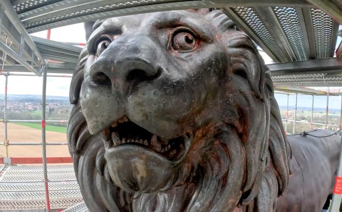 Butte du lion : l'animal nous dévoile ses entrailles