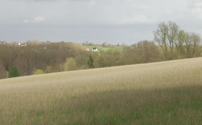Ittre lance un appel pour l’entretien de parcelles communales