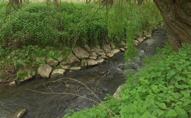 Avoir une rivière dans son jardin, c’est devenir gardien de l’eau