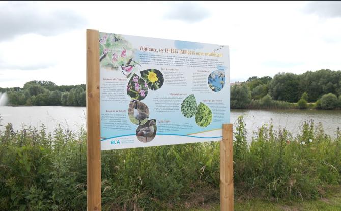 Parc du Paradis : six panneaux pour mieux découvrir la biodiversité à Braine-l'Alleud
