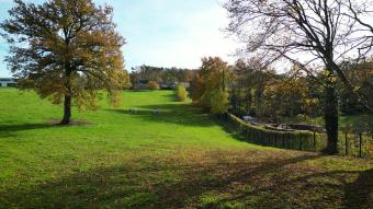 Brab' en Nature #12 : La cabane et la drink du Grand Chêne